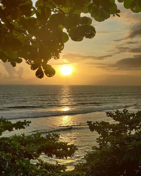 Varkala Cliff, Varkala Beach, Cliff Beach, Kerala India, Ocean Sunset Photography, Beach Sunset, Sunset Photography, Beach Pictures, Kerala