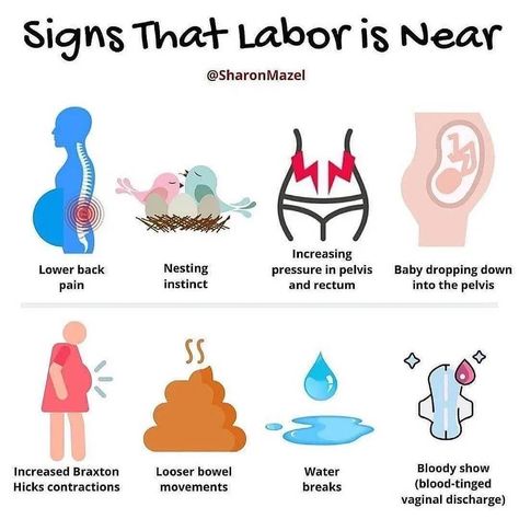 Pregnancy - Maternity - Baby on Instagram: “Sign to let you know labor is near🤰🤰🏿❤️❤️ . 📸: @sharonmazel . . . . . #pregnancy #pregnant #mamatobe #mumtobe #mommytobe #expecting…” Pregnancy Facts, Pregnancy Help, Baby Delivery, Healthy Pregnancy Tips, Pregnancy Info, Newborn Baby Tips, Newborn Mom, Pregnancy Advice, Baby Life Hacks