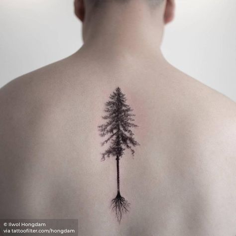 Pine tree @hongdamstudio Upper Back Tattoos For Women, Tattoo Siblings, Tree Roots Tattoo, Back Tattoos For Women, Moose Tattoo, Pine Tattoo, Tree With Roots, Roots Tattoo, Awesome Tattoo Ideas