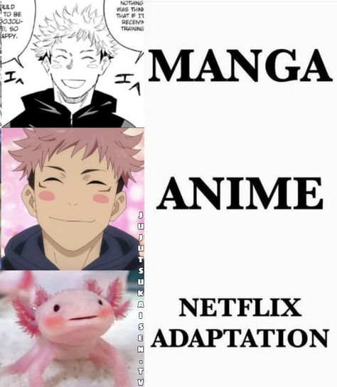 Jujutsu Kaisen (@jujutsukaisen.tv) posted on Instagram • Dec 30, 2020 at 5:18pm UTC Attack On Titan Netflix, Netflix Adaptation, Manga Vs Anime, Memes Anime, Dec 30, Attack On Titan Anime, Adaptation, Jujutsu Kaisen, Anime Memes