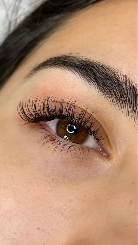 #Classic_Lash_Extensions_Doll_Eye #Doll_Eye_Classic_Lash_Extensions #Lash_Extension_Styles #Classic_Eyelash_Extensions Black Lash Extensions, Lash Extension Styles, Classic Eyelash Extensions, Extension Styles, Eyelash Studio, Natural Fake Eyelashes, Classic Lashes, Wet Set, Cat Eye Lash