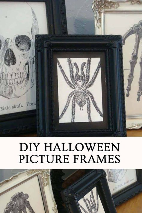 Goth Picture Frames Diy, Halloween Frames Diy, Diy Halloween Picture Frames, Diy Halloween Pictures, Halloween Photo Frames, Halloween Bunco, Halloween Picture Frames, Picture Frame Projects, Spooky Halloween Pictures