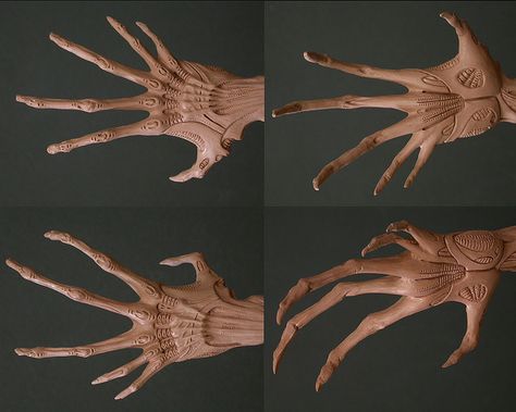 Alien queen hands. Xenomorph Reference, Hand Monster, Alien Hand, Monster Hands, Alien Queen, Alien Concept, Cool Monsters, Monster Concept Art, Creepy Art