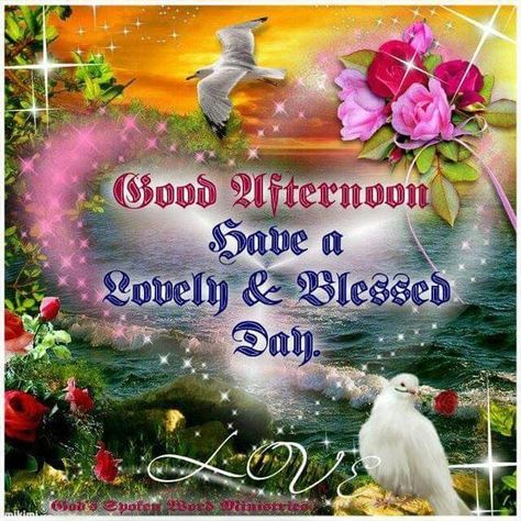 Good Afternoon, Have A Lovely & Blessed Day good afternoon good afternoon quotes afternoon quotes good afternoon blessings afternoon images Have A Nice Afternoon, Afternoon Blessings, Afternoon Messages, Good Afternoon Images, Blessed Morning Quotes, Afternoon Images, Good Afternoon Quotes, Evening Quotes, Afternoon Quotes