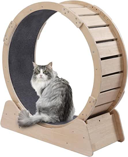 Cat Treadmill, Cat Wheel, Cat Exercise Wheel, Saint Andrews, Apartment Stuff, Cat Exercise, Exercise Wheel, Wall Furniture, Cat Perch