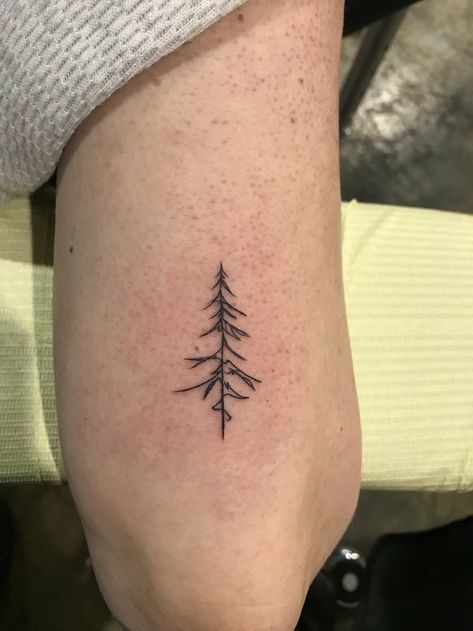 Single Line Pine Tree Tattoo, Minimalist Fine Line Tattoo Ideas, Ornamental Tree Tattoo, 3 Lines Tattoo, Fine Line Pine Tree Tattoo, Simple Pine Tree Tattoo, Line Tree Tattoo, Fine Line Nature Tattoo, Minimalist Tree Tattoo