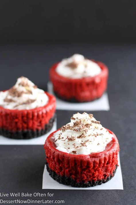 Mini Red Velvet Cheesecakes | Dessert Now, Dinner Later! Red Velvet Cheesecake Recipe, Red Velvet Cheesecake Cupcakes, Red Velvet Cheesecake Cake, Live Well Bake Often, Cheesecake With Whipped Cream, Red Velvet Desserts, Velvet Cheesecake, Red Velvet Cake Recipe, Velvet Cake Recipes