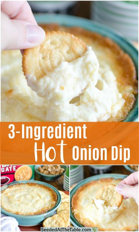 Baked Onion Dip, Hot Onion Dip, Baked Onion, Last Minute Appetizer, Onion Dip Recipe, Baked Onions, Healthy Appetizer Recipes, Dip Recipes Easy, Onion Dip