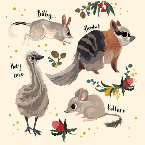 Cal (@puffyfish1100) • Instagram photos and videos Australian Native Animals Drawing, Australian Animals Illustration, Bilby Illustration, Native Nursery, Ar App, Animal Illustration Kids, Watercolour Animals, Autumn Animals, Dancing Animals