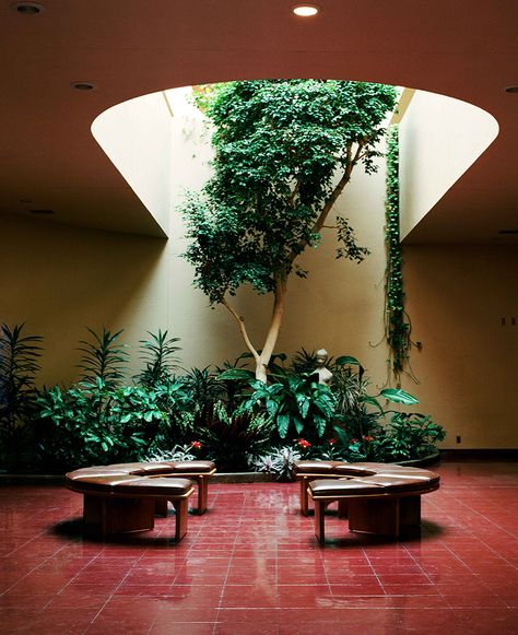 frank lloyd wright's marin county civic center shot on film by skyler dahan Marin County Civic Center, Frank Lloyd Wright Interior, Frank Lloyd Wright Architecture, Frank Lloyd Wright Design, Blue Roof, Long Hallway, Mid Century Architecture, Marin County, Civic Center