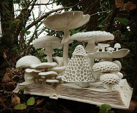 Voice Of Nature, Gorge Oregon, Mushrooms Growing, Fungi Art, Mushroom Crafts, Mushroom Decor, Columbia River, Mushroom Art, Ceramics Ideas Pottery