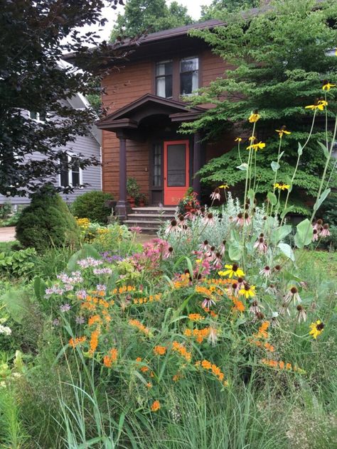 Wildflower Garden Front Of House, Front Yard Prairie Garden, Ohio Native Flower Garden, Wild Front Garden, Midwest Native Landscaping, Native Front Yard, Native Garden Ideas, Native Plant Garden Design, Tea Garden Design