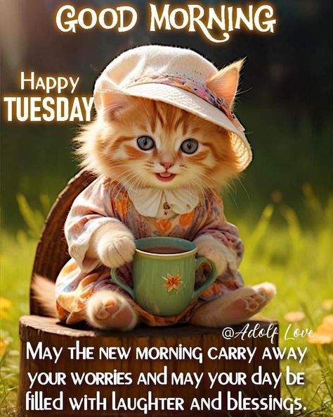 Good Morning Thursday Cats, Happy Tuesday Fall, Tuesday Morning Images, Good Morning Dog, Good Tuesday Morning, Good Morning Happy Tuesday, Thursday Prayer, Happy Tuesday Morning, Tuesday Greetings