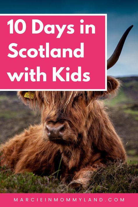 🏴👨‍👩‍👧‍👦 Discover the magic of Scotland with your kids over 10 adventure-filled days! Start in the historic streets of Edinburgh before exploring the mystical landscapes of Glencoe. Meet the legendary Loch Ness Monster near Inverness, and wander through the enchanting Isle of Skye. Each day brings new discoveries, from castles to coastlines, ensuring a trip full of learning and excitement. Click here to see how you can make Scotland a dream vacation for your family! Scotland With Kids, Family Friendly Hotels, Loch Ness Monster, Inverness, Isle Of Skye, Scotland Travel, Road Trip Usa, Dream Vacations, Trip Planning