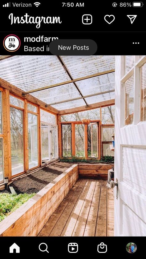 Home Greenhouse, Plants Growing, Backyard Greenhouse, Greenhouse Plans, Garden Greenhouse, Home Aesthetic, Greenhouse Gardening, Dream House Decor, Cafe Interior