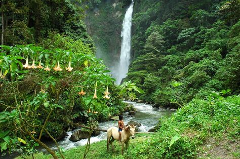 Seven Falls of Lake Sebu, South Cotabato Lake Sebu, Seven Falls, Autumn Lake, Awesome Places, Philippines, Places To Go, Insurance, Paradise, Around The Worlds