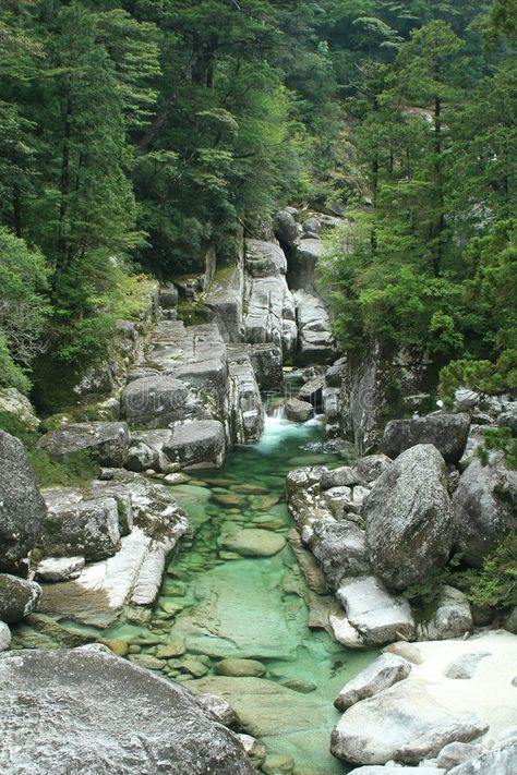 Yakushima Forest, Forest Stream, Yakushima, Japanese Countryside, Dry River, Japanese Forest, River Forest, Forest River, Landscape Scenery