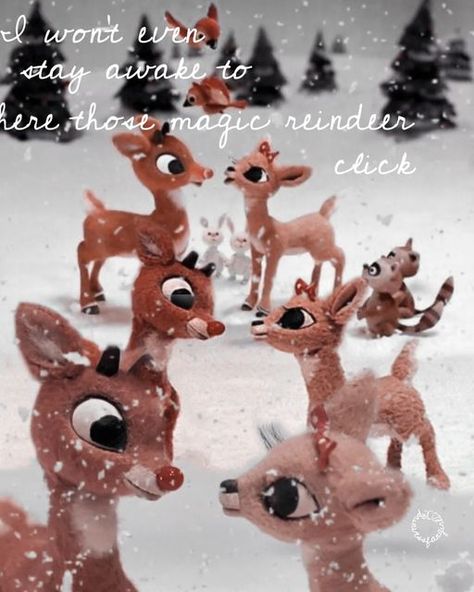 Rudolph And Clarice Wallpaper, Rudolph And Clarice, How To Stay Awake, All I Want, Reindeer, Tags, Christmas, Instagram