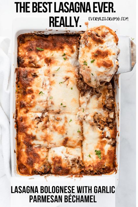 Lasagna Bolognese that's saucy and meaty with a life changing garlic parmesan béchamel . Freezer instructions included!   #easydinner #lasagnarecipe #lasagna #italianrecipes #pastarecipe #pasta Easy Bolognese, Meaty Lasagna, Bechamel Sauce Recipe, Lasagna Bolognese, Italian Lasagna, Frozen Lasagna, Delicious Spaghetti, Crumb Recipe, Cheesy Meatballs