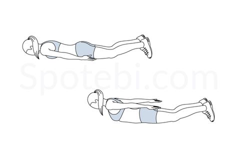 Prone back extension exercise guide with instructions, demonstration, calories burned and muscles worked. Learn proper form, discover all health benefits and choose a workout. https://www.spotebi.com/exercise-guide/prone-back-extension/ Back Extension Exercises, Hip Flexor Exercises, Circuit Workouts, Exercise Board, Bridge Workout, Push Workout, Workout Challenges, Start Exercising, Oblique Workout