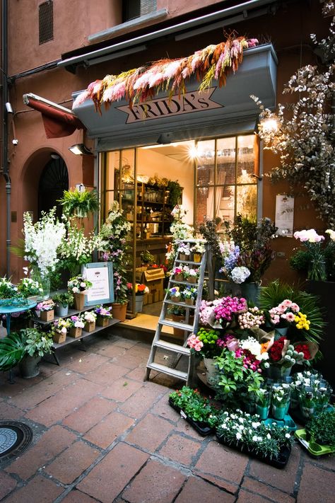 ladder beside flowers photo – Free Bologna Image on Unsplash Plants With Pink Flowers, Italy Images, Free Business Plan, City Planner, Bologna Italy, Flowers Photo, Shop Organization, Business Insurance, Business Plan Template