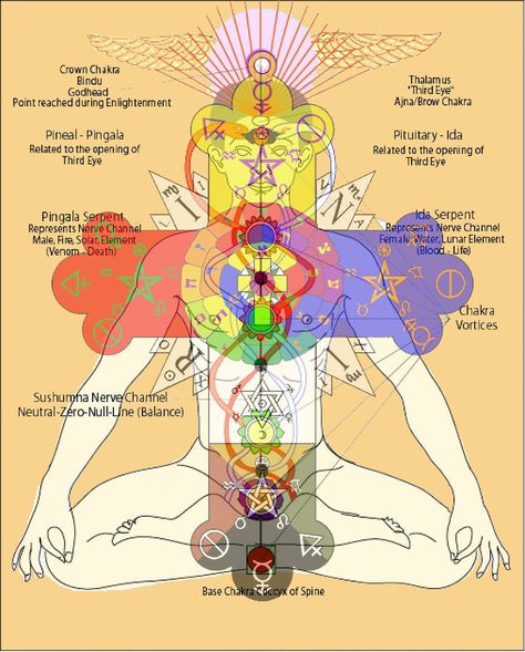 Rosicrucian Art, Rosicrucian Symbols, Occult Anatomy, Kundalini Meditation, Occult Science, Sacred Science, History Facts Interesting, Esoteric Art, Spirit Science