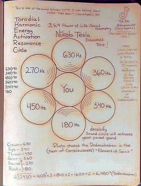 Learn Physics, Spiritual Psychology, Sacred Science, Sacred Geometry Symbols, Sacred Geometry Art, Spirit Science, Energy Healing Spirituality, Healing Frequencies, E Mc2