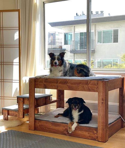 AmazonSmile : Waterproof Dog Beds for Large Dogs with Washable Cover, Soft Pet Bed Mat Pillows for Medium, Extra Large Dogs (40x 30x 3.5 Inch, Classic Style) : Pet Supplies Dog Bed Platform, Dog Bunk Beds, Raised Dog Bed, Wood Dog Bed, Raised Dog Beds, Wooden Dog Bed, Dog Bedroom, Custom Dog Beds, Dog Window