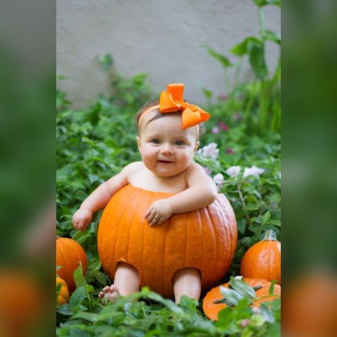 Tina Andrade Photography, pumpkin , baby in pumpkin, Halloween, Halloween baby, photography, photoshoot, cutest baby ever 😍 Pumpkin Photography, Photography At Home, Cutest Babies Ever, Month Photos, Fall Pics, Monthly Baby Photos, Baby Pic, Monthly Baby, Day Dreaming