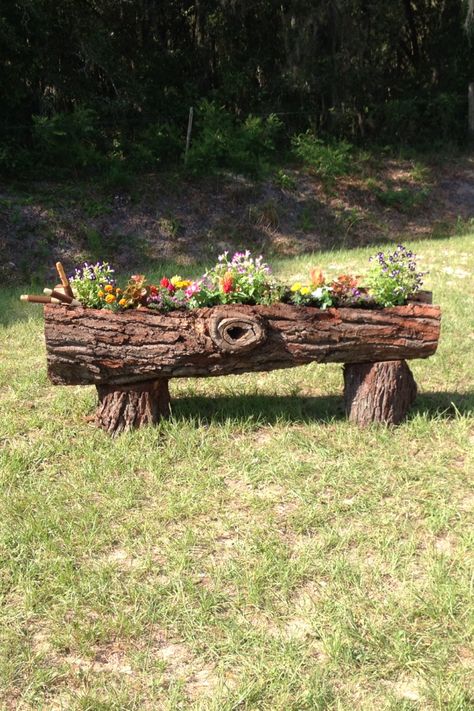 Our log plantar Ideas For Logs, Wood Log Ideas Diy Projects Tree Trunks, Logs Ideas Garden, Log Planter Ideas, Log Art, Log Decor, Log Projects, Log Planter, Garden Wood