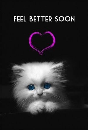 Feel Better Meme, Get Well Soon Cat, Get Well Soon Images, Get Well Prayers, Valentine Verses, Get Well Soon Quotes, Hope Youre Feeling Better, Get Well Soon Messages, Game Day Quotes