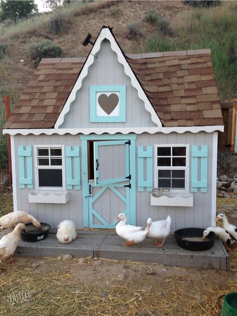 Do you want to build a duck house or coop for your new ducks? Here are 37 of the best free DIY duck house plans we've collected from all over the net. Duck House Ideas, Duck House Plans, Chickens And Ducks, Duck Coop, Chicken Barn, Duck House, Coop Design, Best Chicken Coop, Chicken Coop Designs