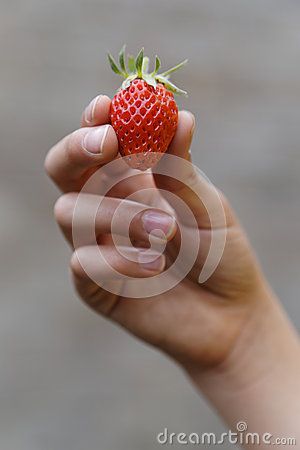 Holding Strawberry Reference, Strawberry Reference, Holding Strawberry, Recipe Images, Hand Holding, Human Anatomy, Holding Hands, Floral Rings, Anatomy