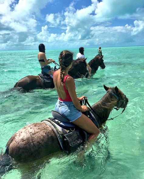 Feyza Koran on Twitter: "… https://t.co/8fvRhn6d5D" Foto Cowgirl, Summer Vacation Style, Visit Jamaica, Cute Horses, Horse Life, Hawaii Vacation, Summer Bucket Lists, Amazing Animals, Bora Bora