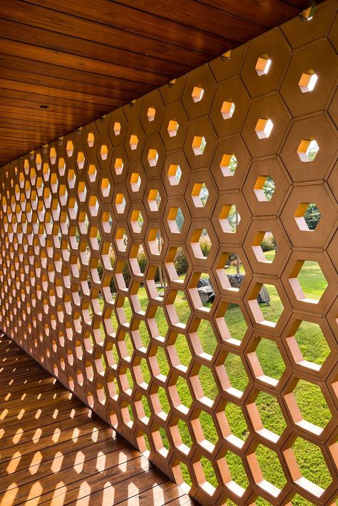 Honey Comb Architecture Concept, Parametric Design Pattern, Hexagon Architecture, Patterns Architecture, Hexagonal Architecture, Architecture Pattern, Facade Pattern, Parametric Architecture, Surat Gujarat