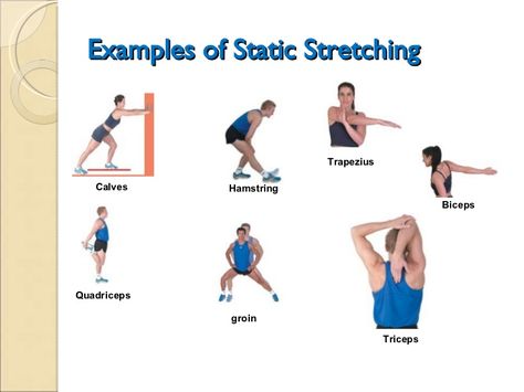 Examples of Static Stretching  Calves   Quadriceps Hamstring groin   Biceps  Trapezius   Triceps Stretches Before Workout, Static Stretching, Benefits Of Stretching, Pelvic Region, Dynamic Stretching, Flexibility Training, Heavy Weight Lifting, Muscle Power, Muscle Strain