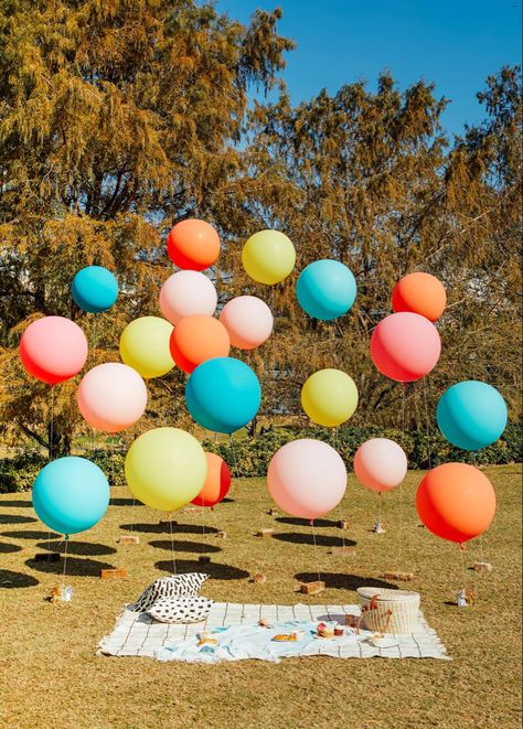 Picnic Backdrop, Houston Lifestyle, Having A Family, Birthday Party At Park, Deco Ballon, Picnic Birthday Party, Outdoors Birthday Party, Park Birthday, Backyard Birthday