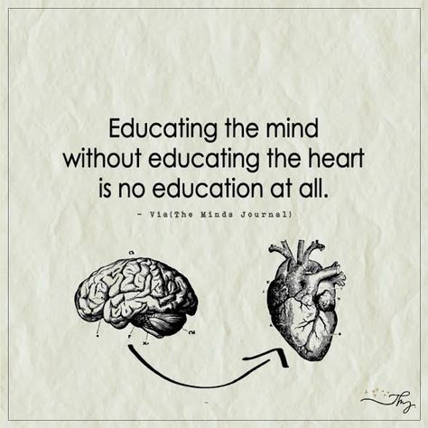 Educating the mind without educating the heart is no education at all. - http://themindsjournal.com/educating-the-mind-without-educating-the-heart-is-no-education-at-all/ The Mind Quotes, Educating The Mind Without Heart, Thinking Mind, Mind Journal Quotes, Brain Quotes, The Mind, Heart And Brain Quotes, Mind And Heart Quotes, Brains Quote