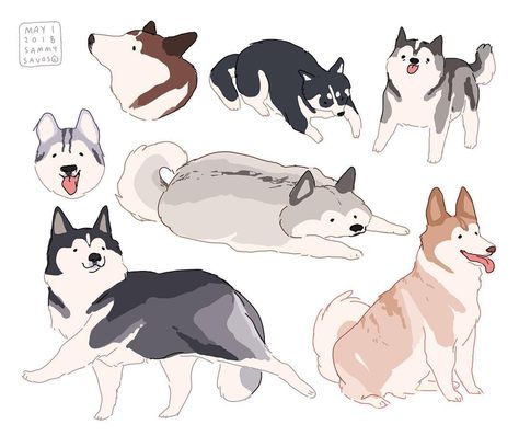 sammy savos on Instagram: “huskies! school is over!! #dog #dogs #puppy #puppies #husky #huskies #art” Sammy Savos, Husky Drawing, Dog Poses, Animal Doodles, Canine Art, Dog Illustration, Husky Dogs, Dogs Puppy, Dog Drawing