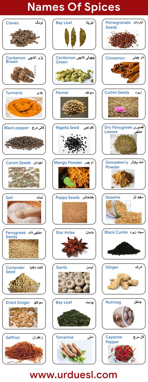 learn spices names in english Indian Spices List, Names Of Spices, Spices List, Types Of Spices, Name Of Vegetables, Spices Photography, Poha Recipe, List Of Spices, Shahid Khan