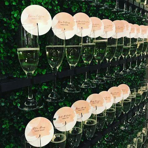 Tonight's escort card champagne wall 🥂Champagne wall @newberrybrosEscort Cards @tasharaedesigns Champagne Wall, Rustic Wedding Decorations, Ashley Nicole, Tropical Bridal Showers, Tropical Bridal, Wedding Hashtag, Wedding Drink, Wedding Event Planning, Wedding Seating