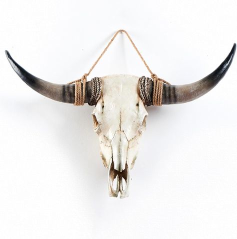 Deer skull wall mount