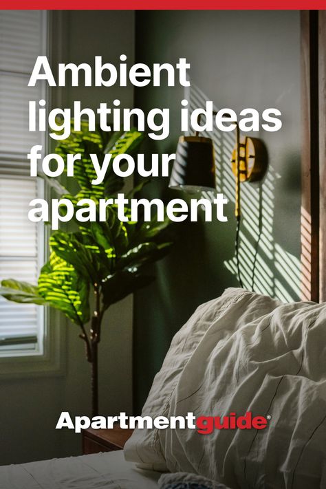 Apartment living doesn't have to mean boring lighting 💡. Read our top tips for creating a warm and inviting atmosphere using ambient lighting.

#ApartmentGuide #apartmentliving #apartmentdecor #homeinspo #apartmenthacks Ambient Lighting Ideas, Unique Decorating Ideas, Apartment Searching, Tips For Moving, Senior Student, Apartment Guide, Apartment Hacks, Apartment Hunting, Good Lighting