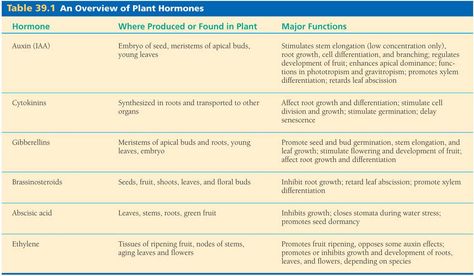 Plant Growth Regulators Notes, Plant Biotechnology, India Images, Biology Notes, Growth Hormone, Flow Chart, Origami Art, Biotechnology, Plant Growth