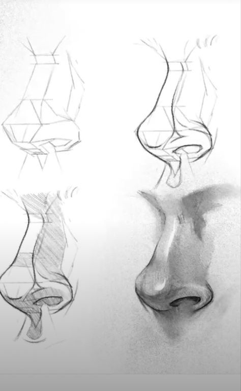 Nose Angles Drawings, How To Draw Nostrils, How To Draw Nose Angles, Drawing Reference Shapes, Antomany Drawing, Face Study Reference, Drawing A Nose, Nose Drawing Tutorial, Nose Anatomy