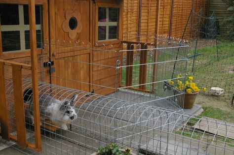 Rabbits United Forum Vege Garden, Wood Panelling, Wendy House, Wooden Building, Dog Kennels, Rabbit Hutch, Farm Stuff, Bunny House, House Rabbit