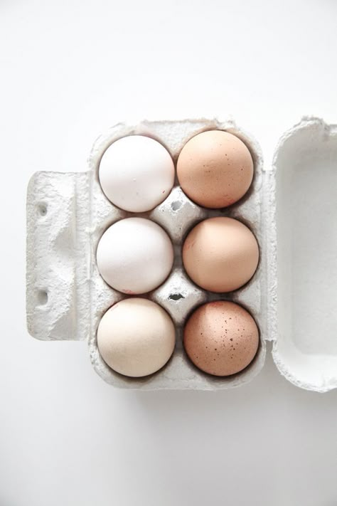 Minimalist Ceramics, Nutrition Quotes, Nutrition Sportive, Sport Nutrition, White Food, Food Photography Inspiration, Minimalist Photography, Food Photography Styling, Egg Carton