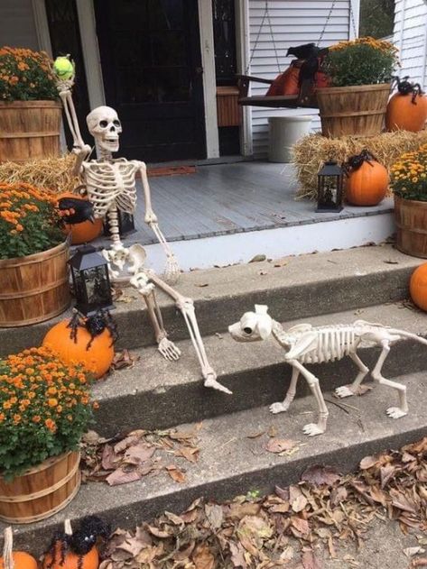 Skeleton Halloween Decorations Yards, Porch Skeleton, Halloween Skeleton Ideas, Posable Skeleton Ideas, Yard Skeletons, Front Porch Cozy, Skeleton Display, Skeleton Poses, Outdoor Skeleton