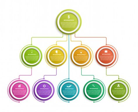 Modèle D'organigramme Hiérarchique De Co... | Premium Vector #Freepik #vector #cercle #modele #infographie #graphique Organization Chart Template, Supply Chain Infographic, Human Resources Infographic, Business Infographic Design, Workflow Diagram, Timeline Infographic Design, Strategy Infographic, Chart Infographic, Process Infographic