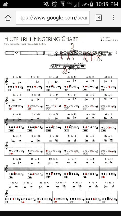 Flute Fingering Chart, Flute Lessons, Reading Sheet Music, Learn Music Theory, Music Theory Lessons, Song Notes, Opera Music, Band Jokes, Flute Sheet Music